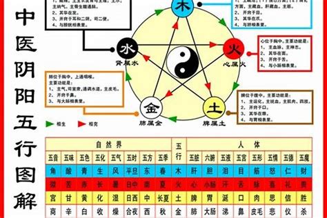 怎么看自己五行